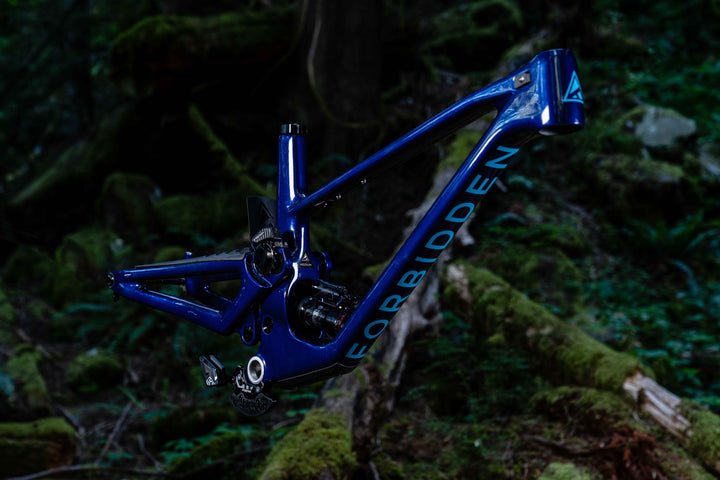 FORBIDDEN BIKE DRUID V1